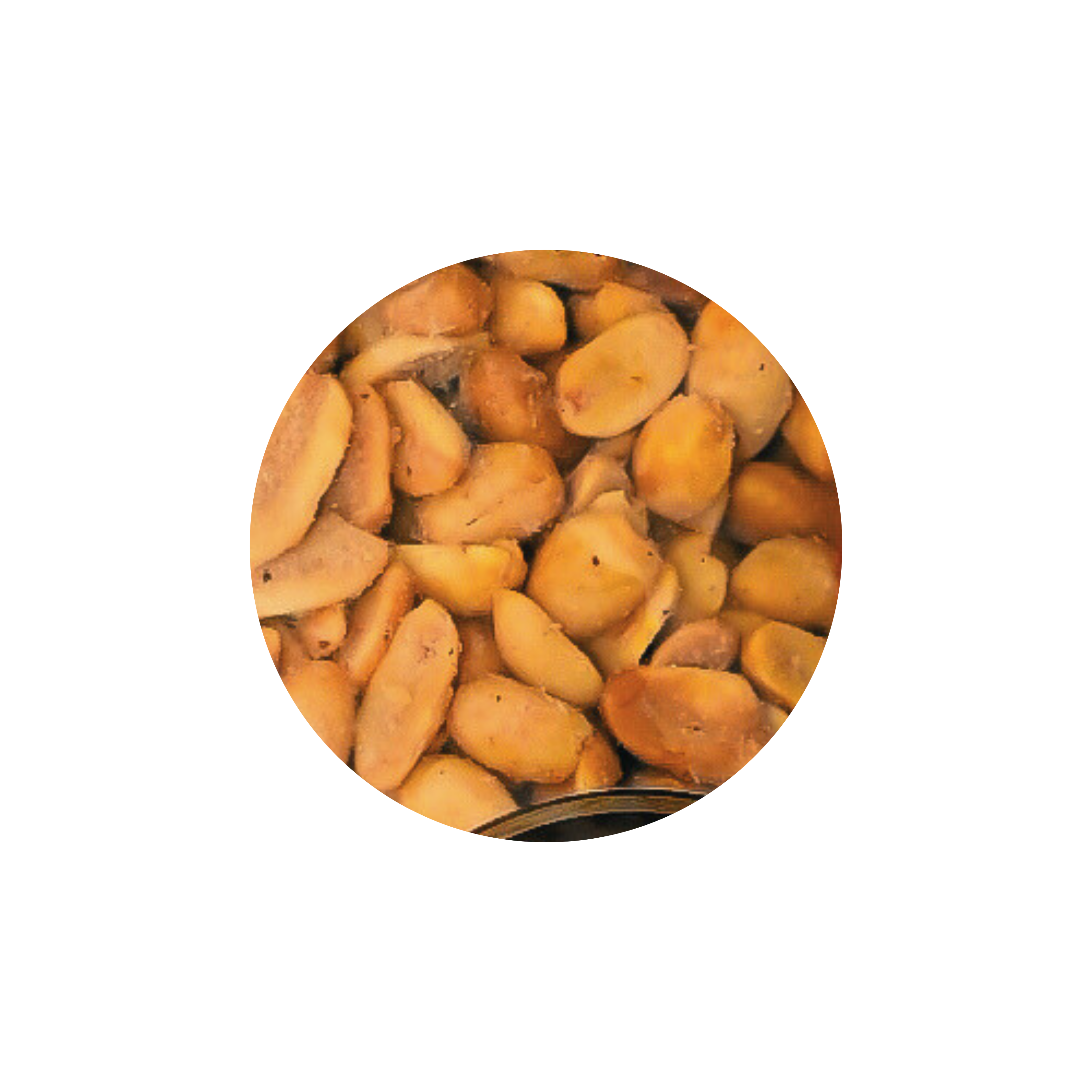 CACAHUATE TIPO MACHO 